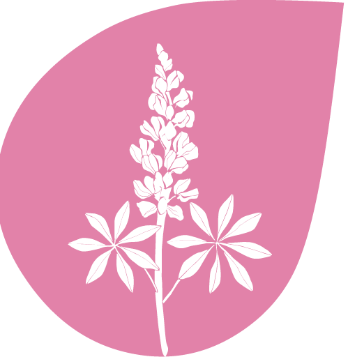 成分ICON-07.png – ALTER EGO艾特伊果